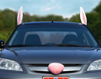 bunny car decorations